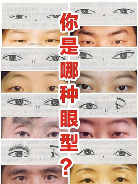 眼圓 面相|面相好不好？一半看眼睛！最全眼型圖解